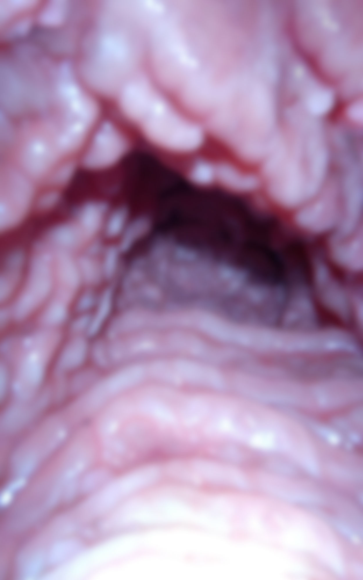 サンプル画像5:モザイクの向こう側 Beyond the mosaic 推しを、2倍楽しむためのお手伝い書(フェティッシュ堂) [d_273504]