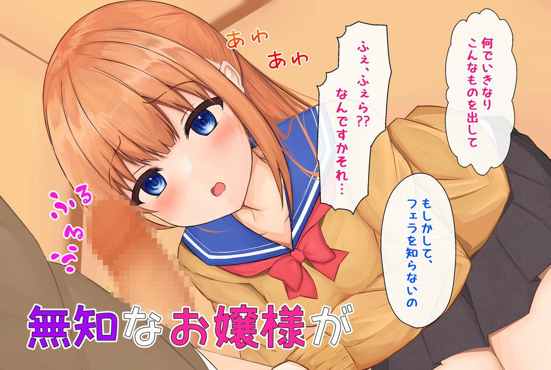 サンプル画像1:お嬢様、パパ活にはまる(わたりどり) [d_274724]