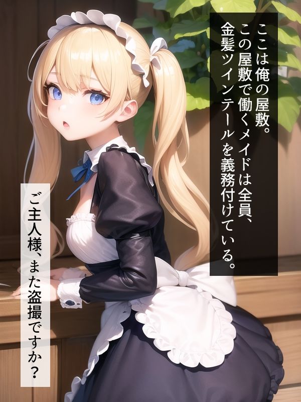 サンプル画像1:金髪ツインテメイドだけの楽園 〜ご主人様のいうことは絶対なのでいつでもおまんこし放題〜(まほろばまかろん) [d_275700]