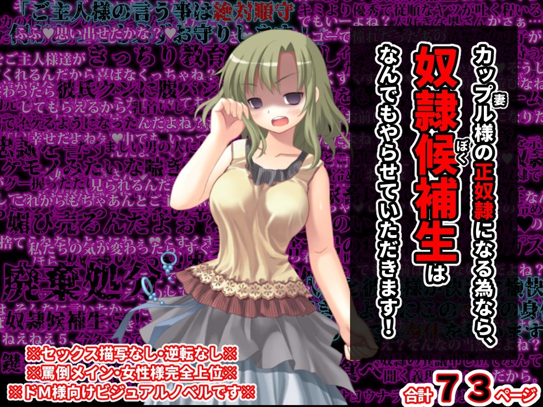 サンプル画像1:M向けビジュアルノベルまとめパック♪ 4(統計上の聖地) [d_275834]