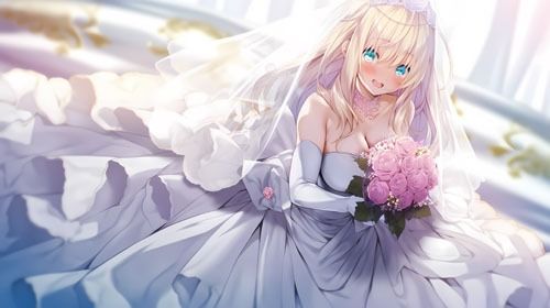 サンプル画像1:ウエディングドレス美少女セット7(Dresscco) [d_276872]