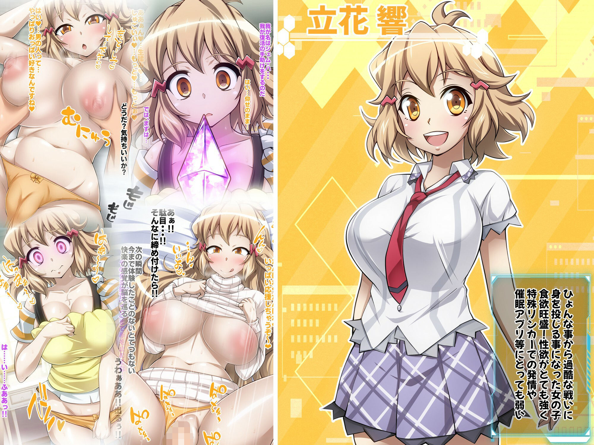 サンプル画像5:【戦姫絶頂シンフォギアH3】(ファンタスティック☆猫侍) [d_276932]