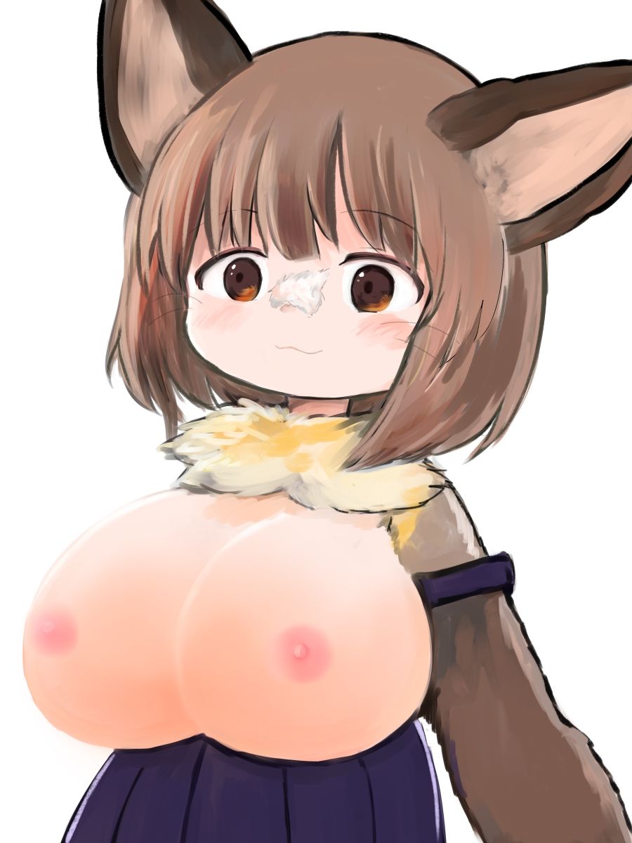 サンプル画像2:毎日獣化少女7(けもふわの森) [d_277908]