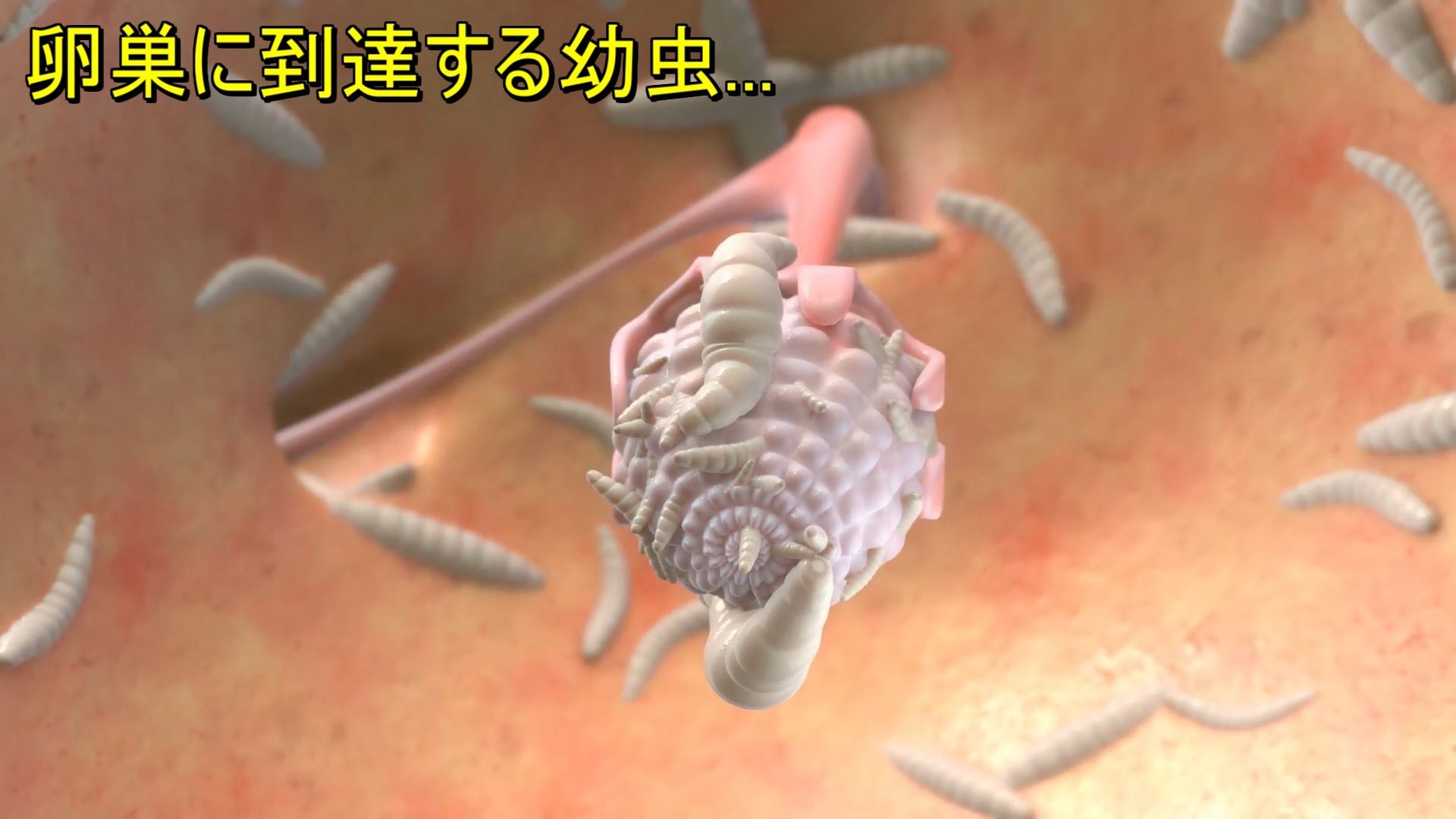 サンプル画像6:巨大バエに孕まされる眼鏡っ子JK(湖畔の家) [d_278788]