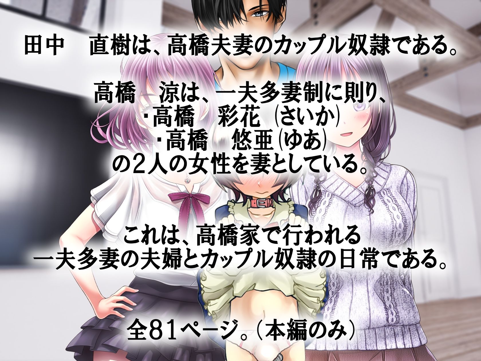 サンプル画像2:一夫多妻制とカップル奴●！(M小説同盟) [d_279670]