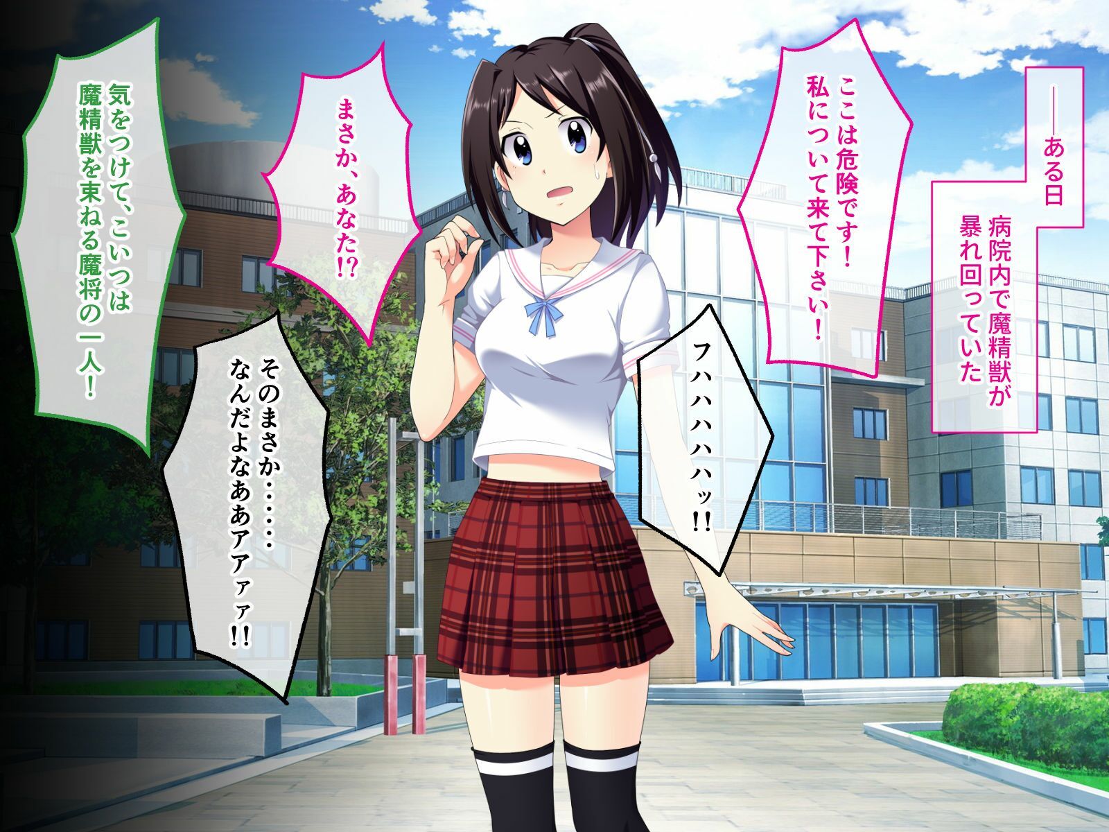 サンプル画像1:光桜閃姫プリセシール CGノベル版 〜処女な正義のヒロインがNTR悪堕ちする話〜(どろっぷす！) [d_283513]