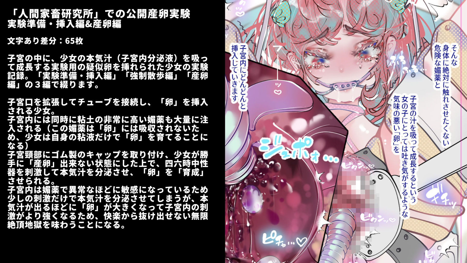 サンプル画像3:少女誘拐実験vol.26〜30 公開産卵実験・子宮チューブ媚薬注入・逆さ吊り拘束強●絶頂など5作品(灯工房) [d_283640]