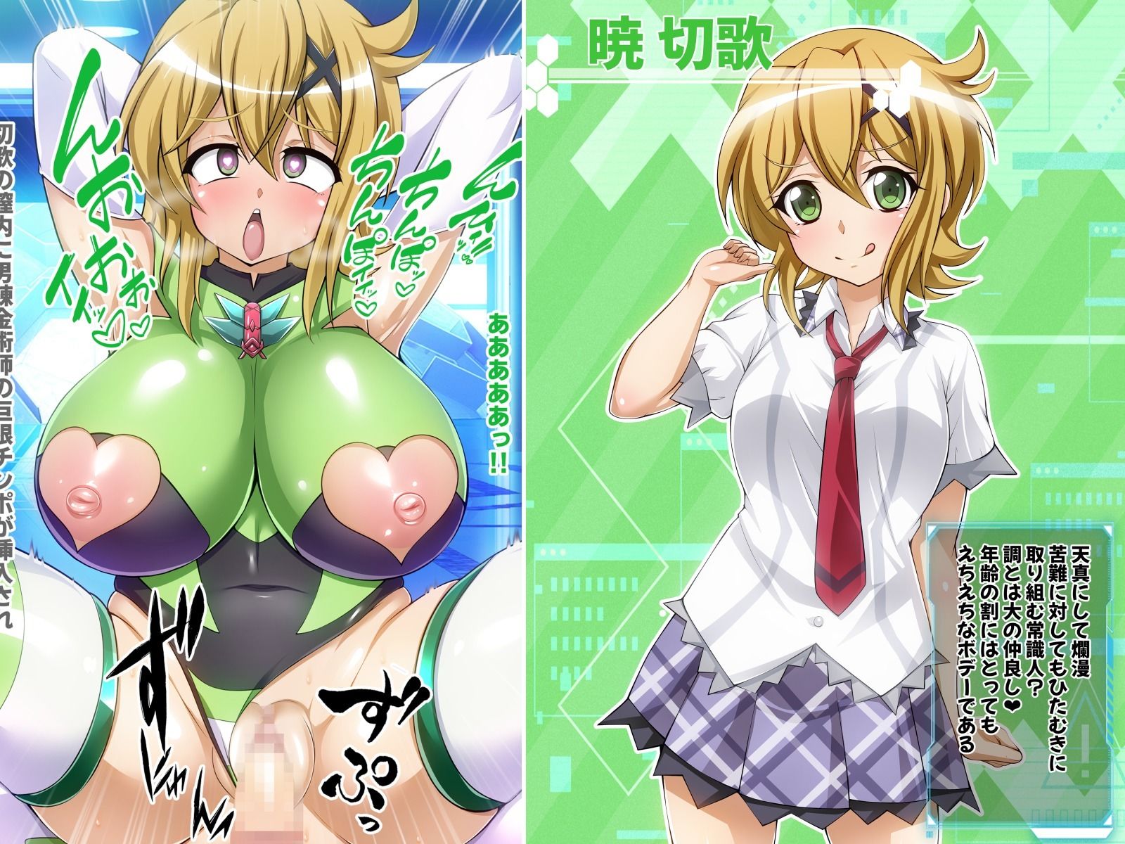 サンプル画像4:【戦姫絶頂シンフォギアH4】(ファンタスティック☆猫侍) [d_284093]