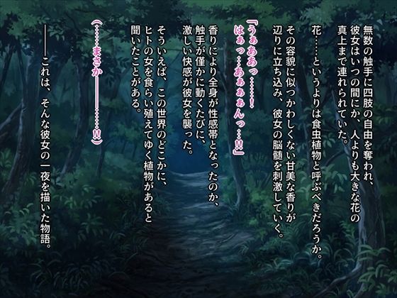 サンプル画像2:花に堕ちた教官 Remaster 〜触手の餌食となったエルフの戦士長〜(CORTO) [d_284917]