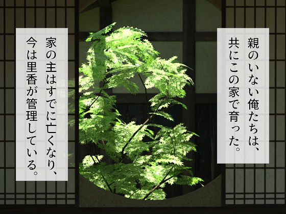 サンプル画像2:夏休み幼なじみとあの家で(夏野企画) [d_285769]