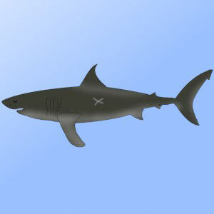 サンプル画像4:残忍残酷な捕食者たち〜とあるヌーディストビーチ編〜(fatallost) [d_286556]