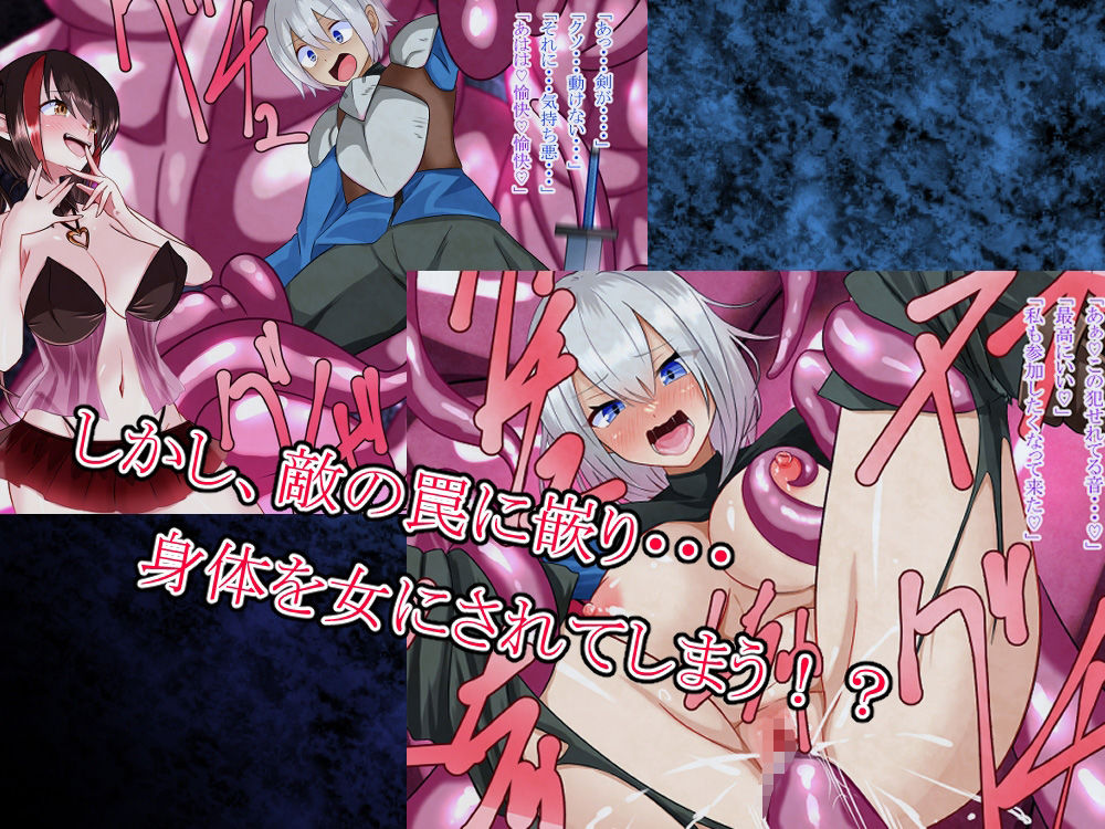 サンプル画像2:サキュバスを追いかけたら罠に嵌り女体化された勇者(まくら) [d_291724]