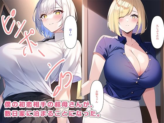 サンプル画像3:僕と母と叔母さんの三角関係(ねずみのバンキング) [d_294318]