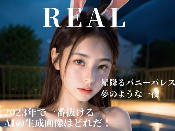 星降るバニーパレス: 夢のような一夜