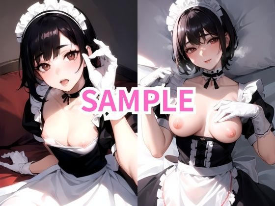 サンプル画像2:18歳の処女メイドと過激セックス(えちえち研究部) [d_298850]