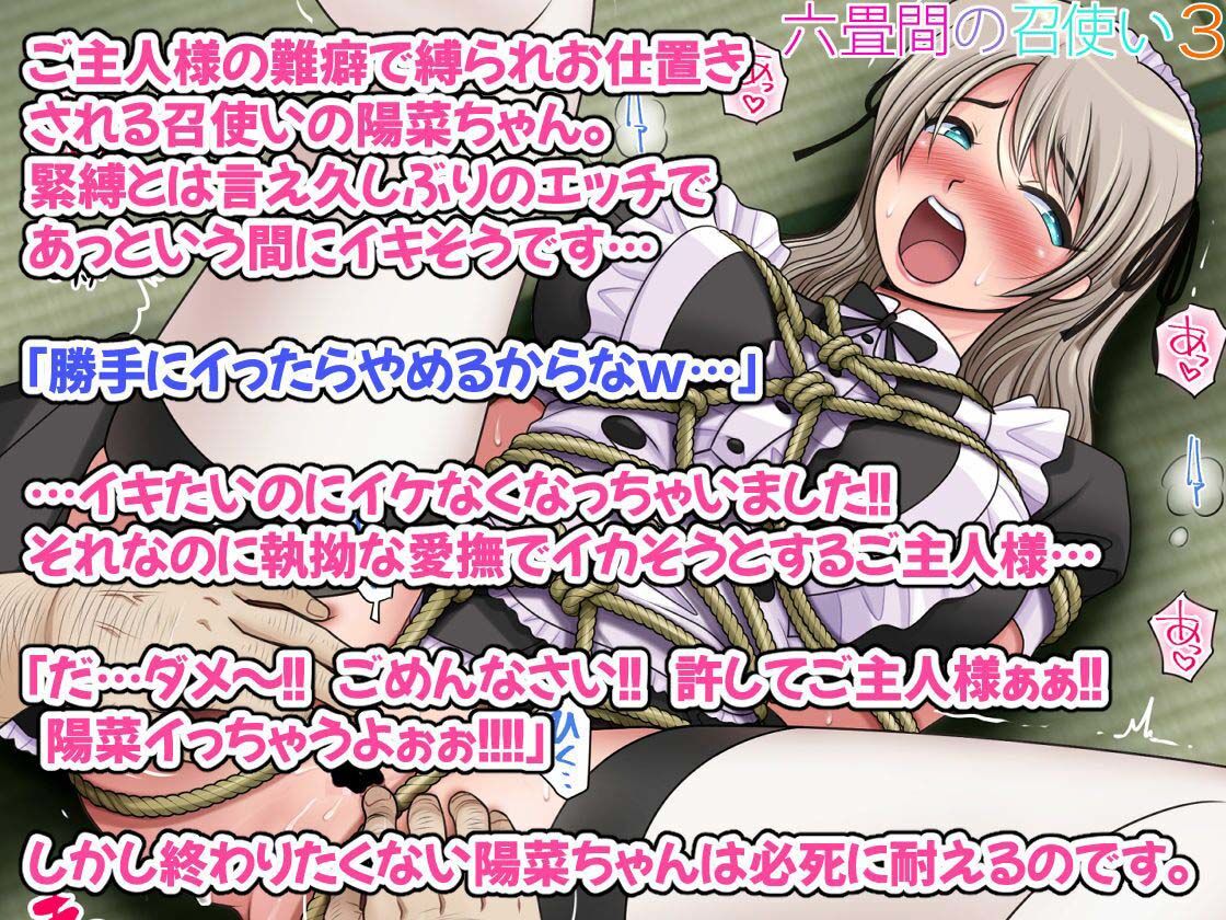 サンプル画像3:六畳間の召使い3(M・STYLE) [d_299990]