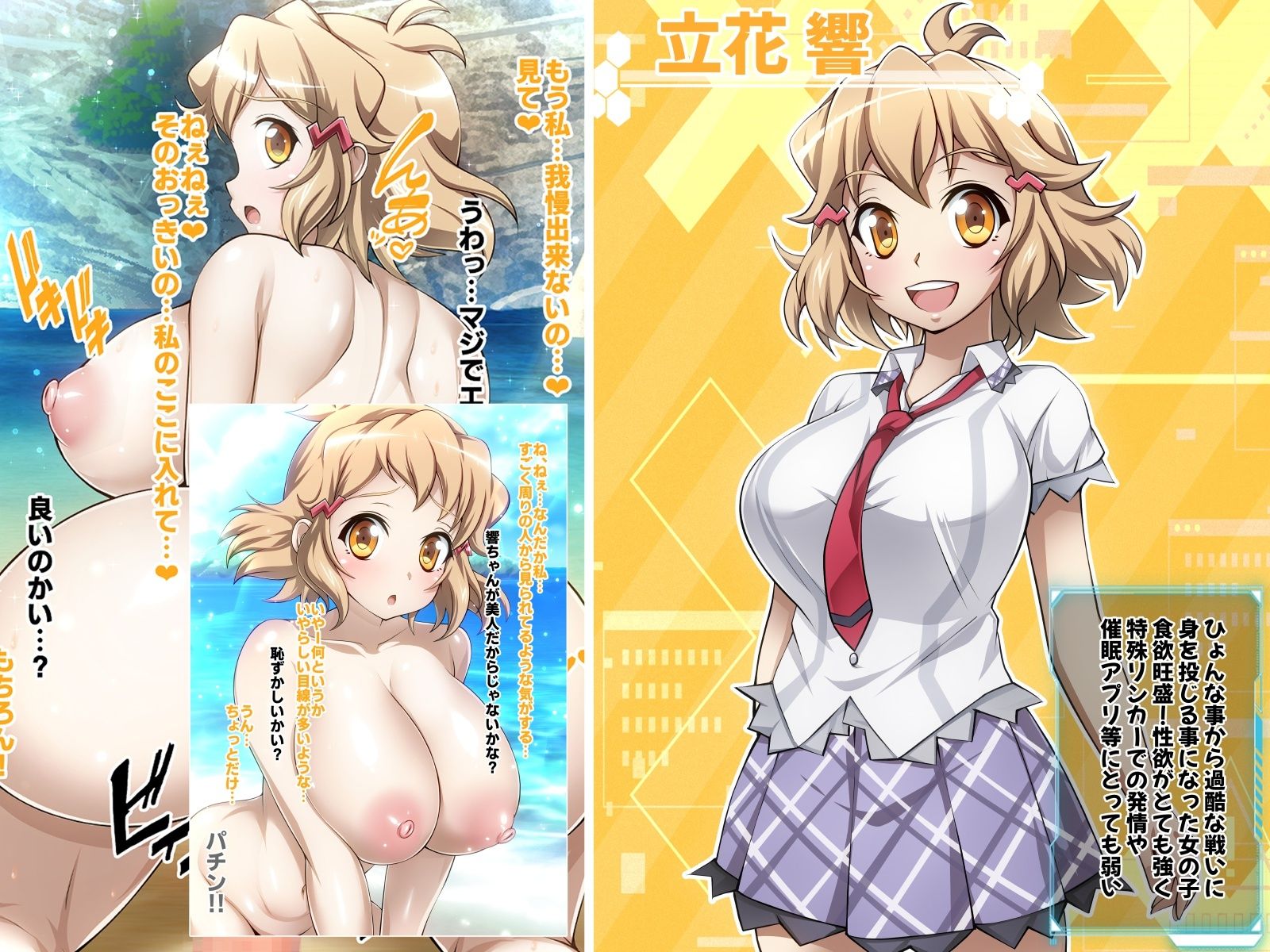 サンプル画像1:【戦姫絶頂シンフォギアH5】(ファンタスティック☆猫侍) [d_301603]