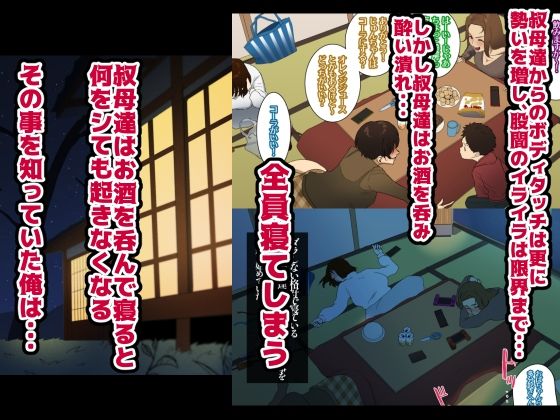 サンプル画像2:年越し 親戚の叔母ちゃん達との一夜(摩伊那市) [d_303187]