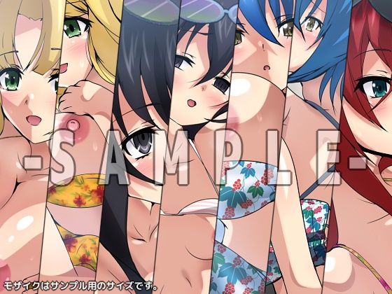 サンプル画像2:おっぱいいっぱいのスクールライフ！ シチュCG集 ＃9『バケーション』(Dressing＋Party) [d_305169]