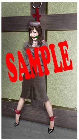 サンプル画像3:緊縛・着衣緊縛絵巻VOL.11(クリセゴン) [d_314129]