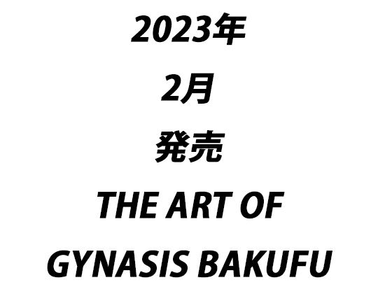 サンプル画像5:【超総集編】THE ART OF THE ART OF THE GYNASIS【究極ベスト】(ヒロカワミズキ（スタジオ・ジナシスタ！！）) [d_314759]