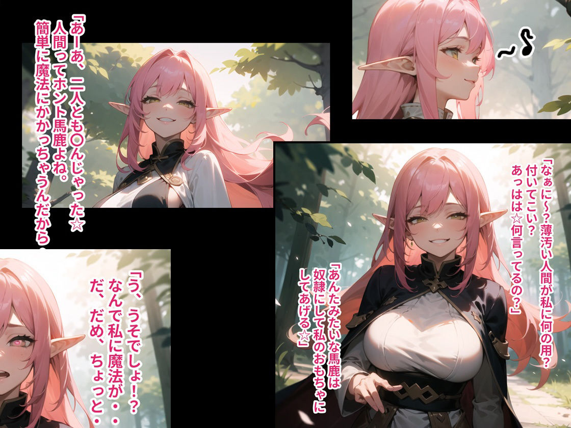 サンプル画像1:性悪魔導士エルフ泣くまで徹底的にお仕置きしてみた(ココナッツパンチ) [d_315070]