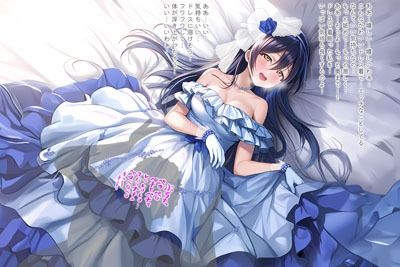 サンプル画像2:ドレス美少女セット13 ああっ気持ちいい！体がドレスに溶けちゃう！(Dresscco) [d_318860]