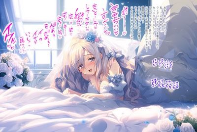 サンプル画像6:ドレス美少女セット13 ああっ気持ちいい！体がドレスに溶けちゃう！(Dresscco) [d_318860]