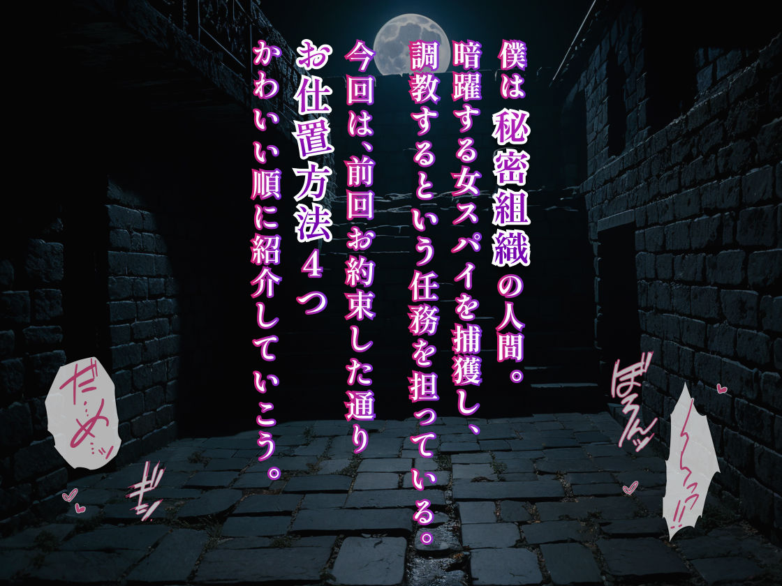 サンプル画像1:女スパイ徹底調教 お仕置編(美女紹介所) [d_320705]