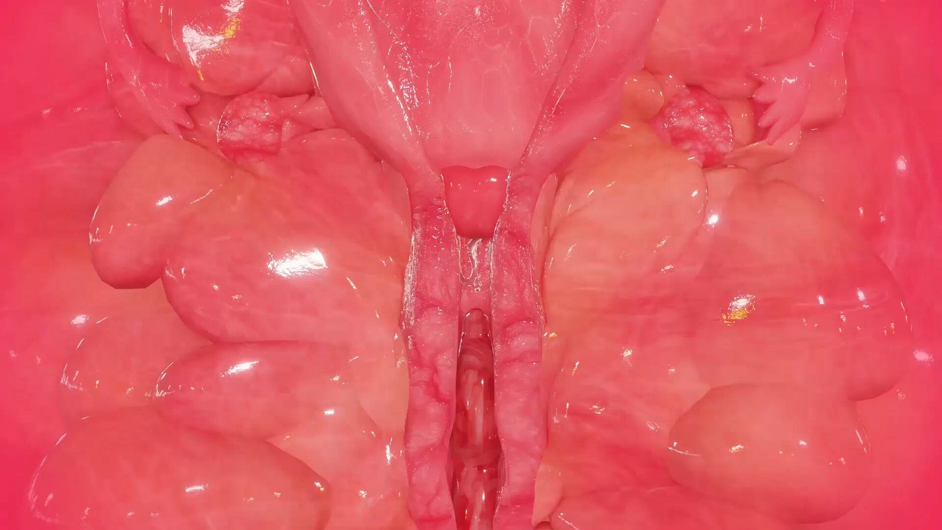 サンプル画像5:ラクーン・オブ・ザ・グリーン「蜘蛛」(コトリボックス) [d_321297]