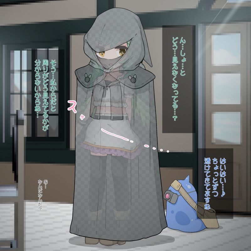 サンプル画像3:透明になるマントですが綺麗に見えなくなるわけでは無いようです(らーすとちゅか) [d_322292]