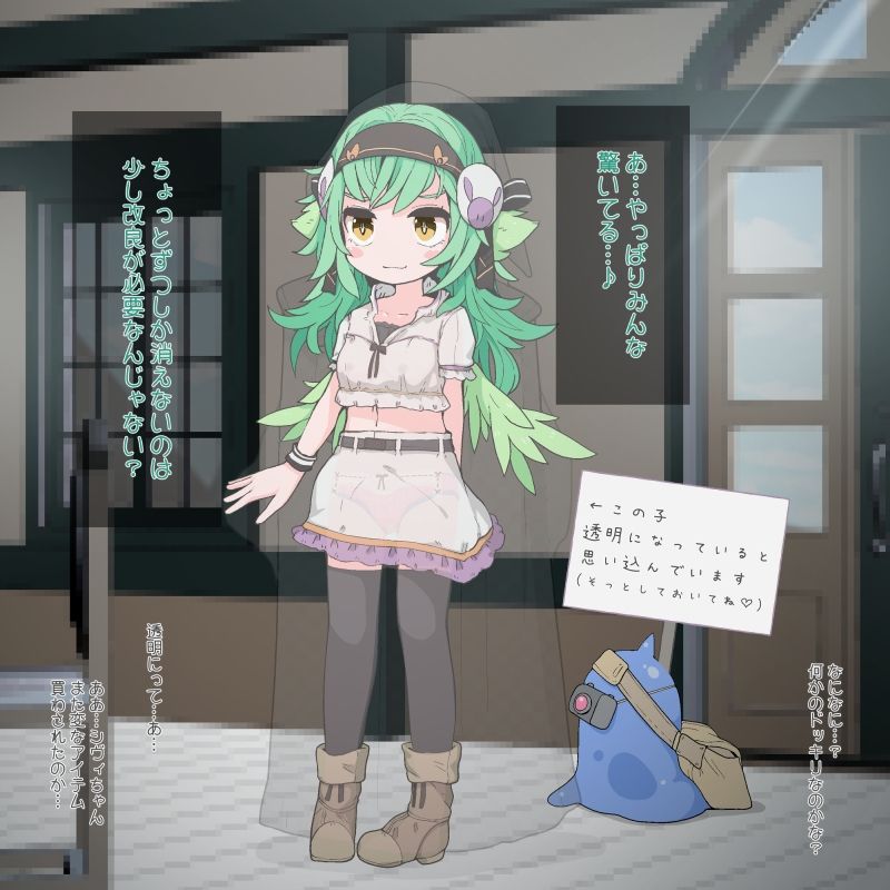 サンプル画像4:透明になるマントですが綺麗に見えなくなるわけでは無いようです(らーすとちゅか) [d_322292]