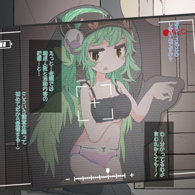 サンプル画像6:透明になるマントですが綺麗に見えなくなるわけでは無いようです(らーすとちゅか) [d_322292]