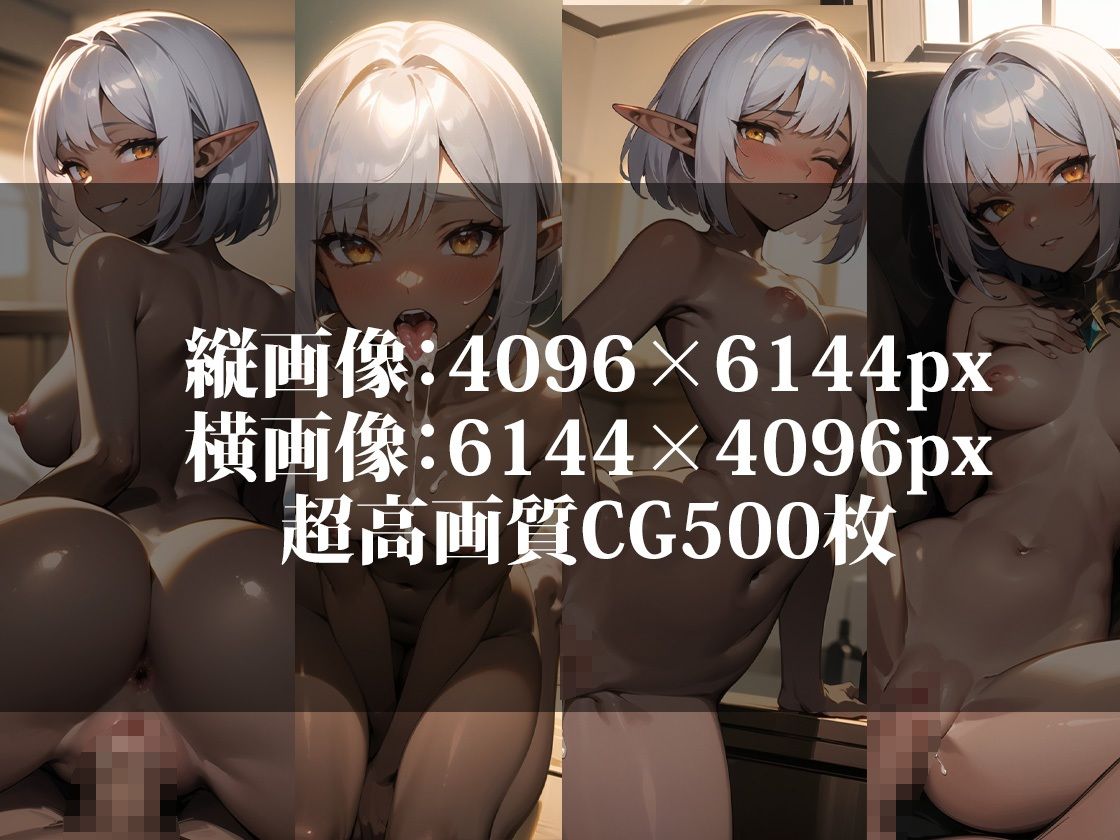 サンプル画像2:【超高画質】歓楽街のダークエルフ(ココナッツパンチ) [d_323716]