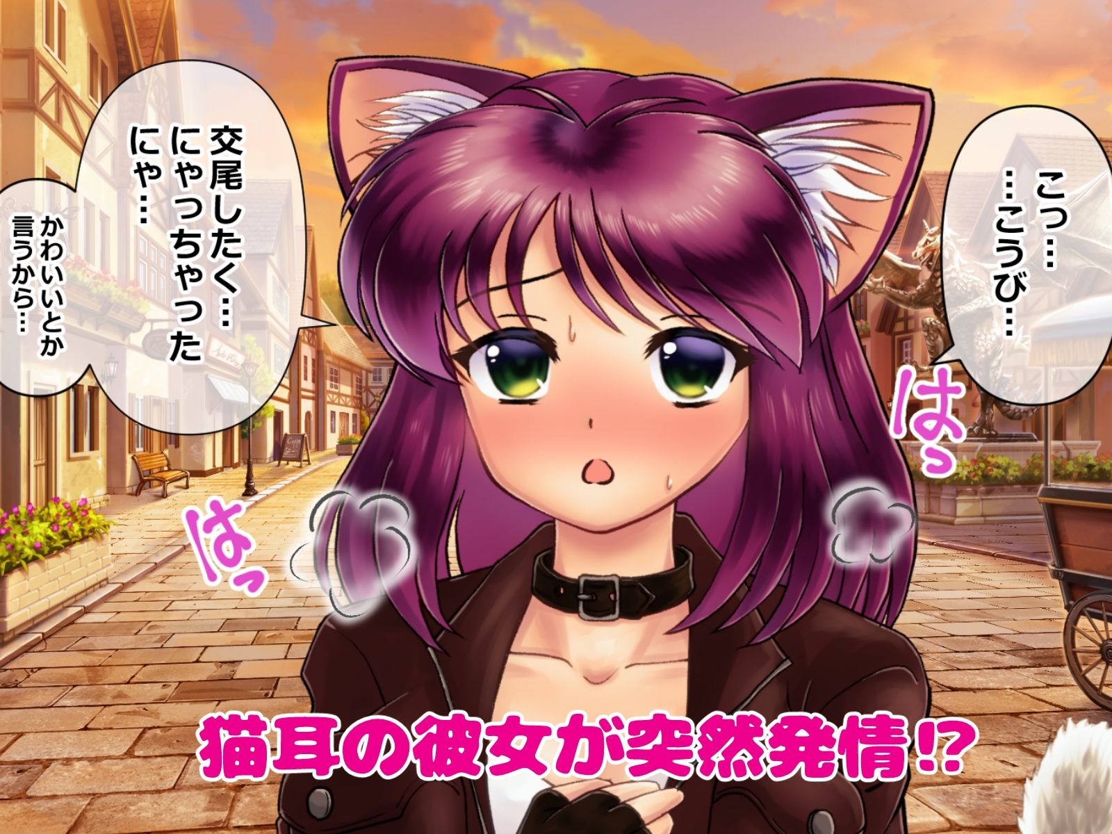 サンプル画像1:発情した猫耳娘と夕暮れの宿屋で子作りする話(ゆきにゃん堂) [d_330088]