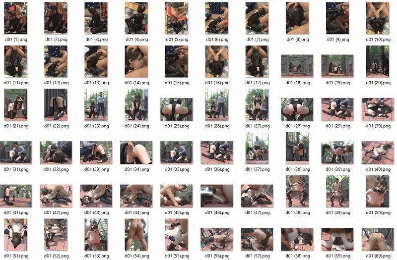 サンプル画像4:Days with Dear Dogs(nzk storeroom) [d_331210]