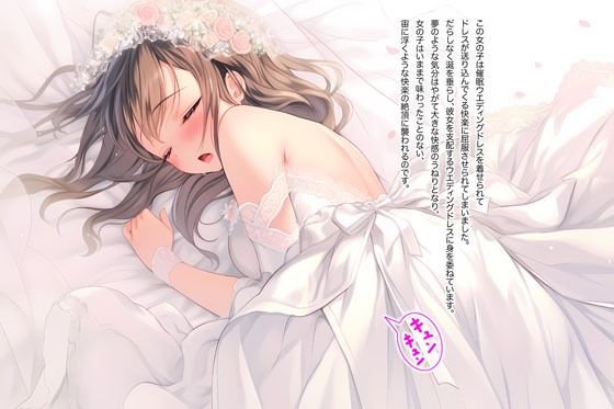 サンプル画像5:ドレス美少女15 催●ウエディングドレス(Dresscco) [d_332275]