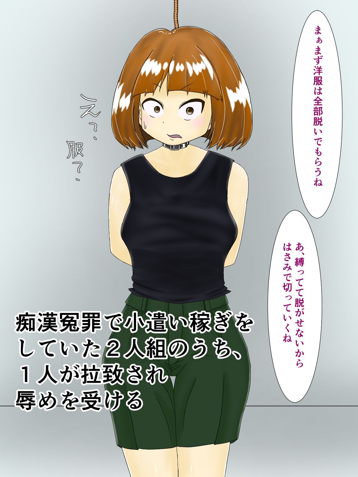 サンプル画像2:痴●冤罪制裁(ぷれじゃあ科学研究所) [d_333268]