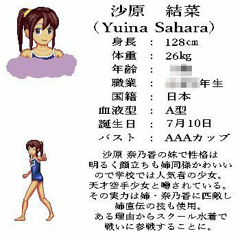 【無料】エッチな格闘ゲーム〜紹介動画