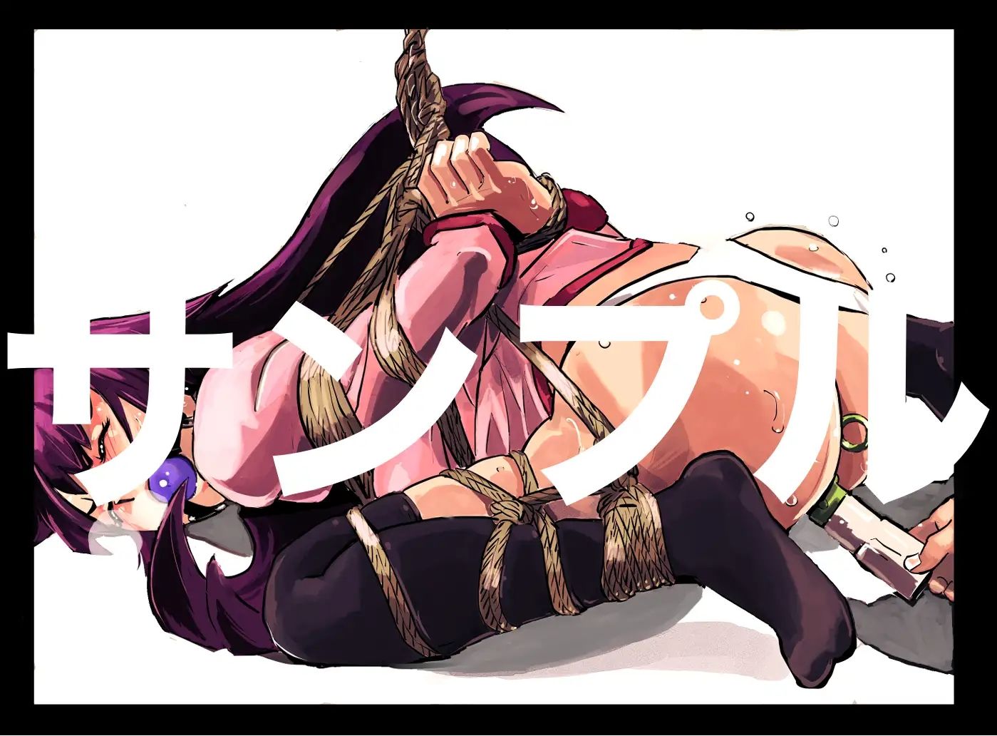 サンプル画像1:アニメキャラクターSM画集1〜13＋その他緊縛画集(きゅうり夫人) [d_343998]