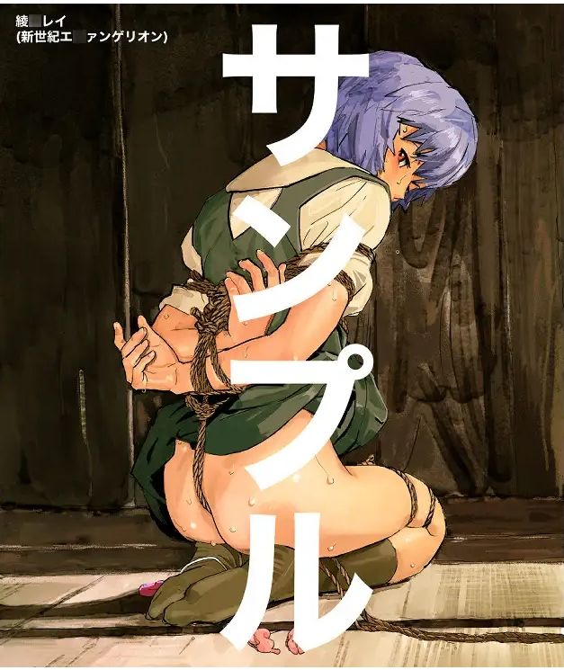 サンプル画像3:アニメキャラクターSM画集1〜13＋その他緊縛画集(きゅうり夫人) [d_343998]