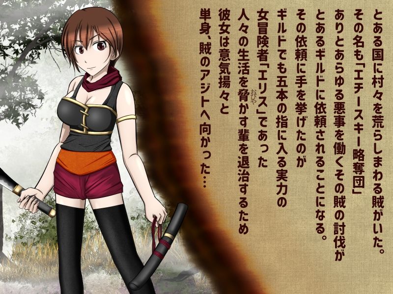 サンプル画像1:LOSER 敗北伝 〜双剣の処女〜(もうゆる産業) [d_348911]