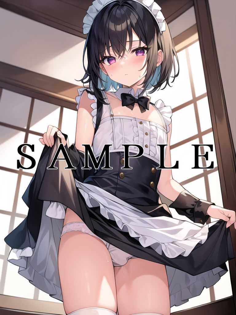 サンプル画像2:可愛い男の娘メイドがスカートをめくってパンツを見せてくれるだけパック(深海だぁくねす) [d_349749]