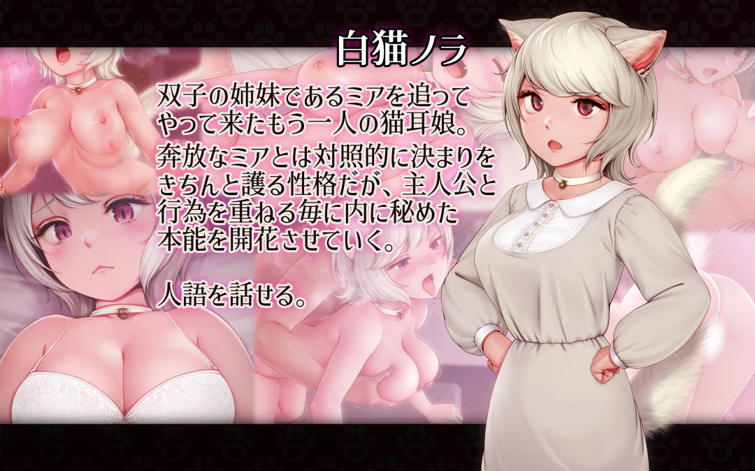 サンプル画像2:ねこサキュ！-ミアとノラの搾精性活-(掘人) [d_356677]