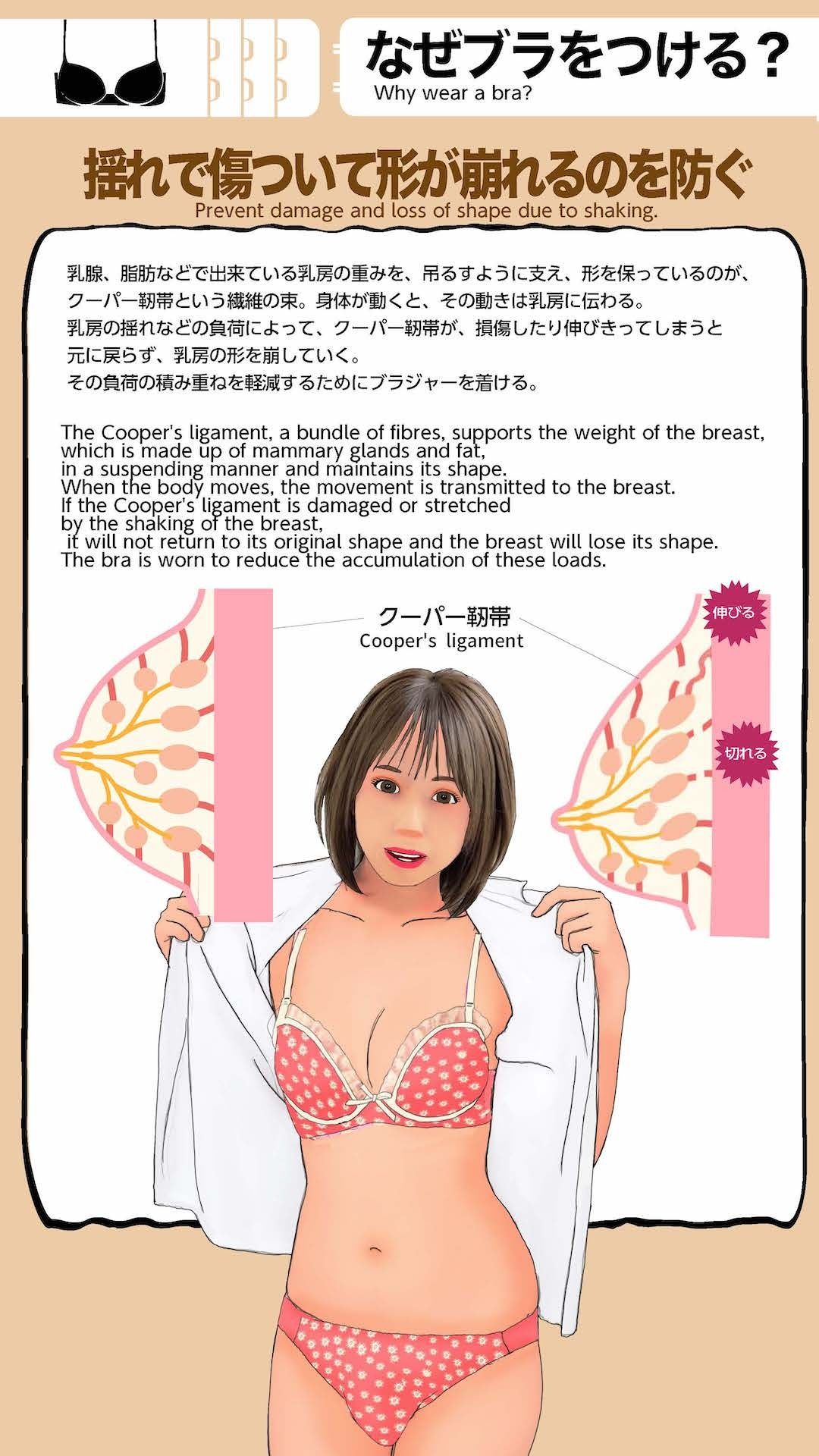 男の娘下着図鑑