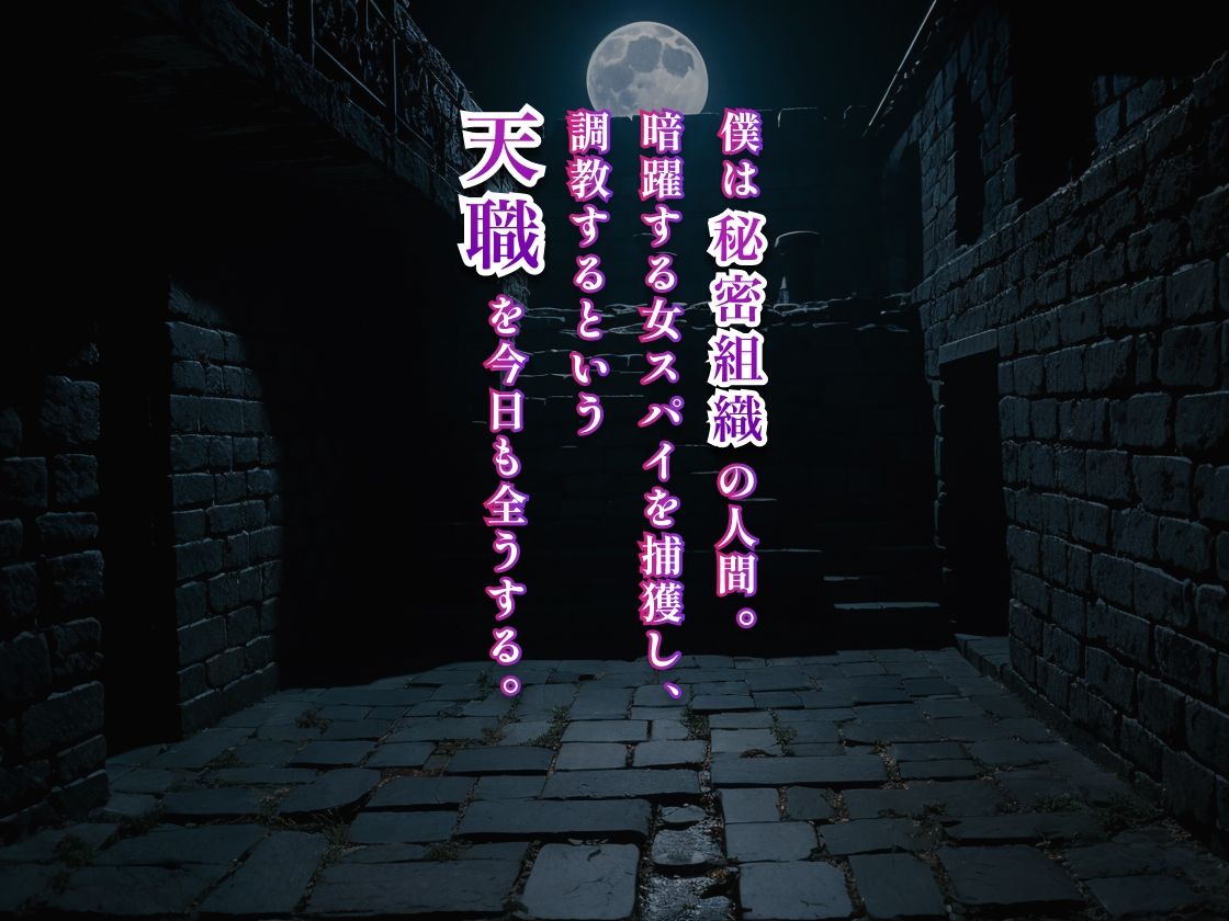 サンプル画像1:女スパイ徹底調教（ムービー）(美女紹介所) [d_360118]