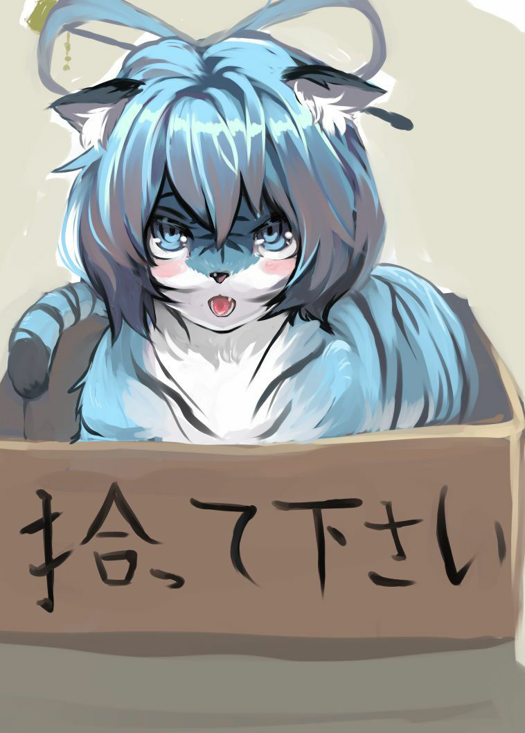 サンプル画像2:お前がペットになるんだよ！！(toribako) [d_368083]