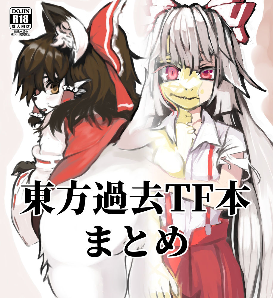 サンプル画像1:東方過去TF本まとめ(toribako) [d_368088]