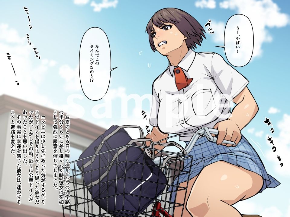 サンプル画像1:妄想便所〜何も気付かないままトイレで玩具にされちゃう話〜(THE HYPERMAN) [d_370711]