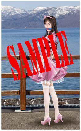 サンプル画像1:緊縛・着衣緊縛絵巻VOL.15(クリセゴン) [d_377535]